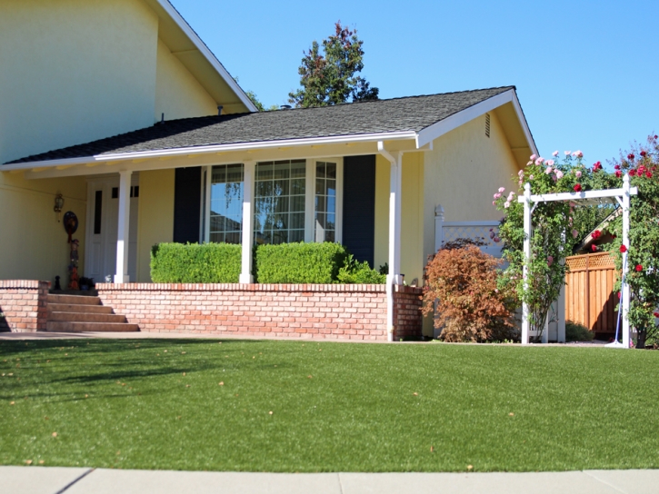 Synthetic Grass Horizon City Texas Landscape