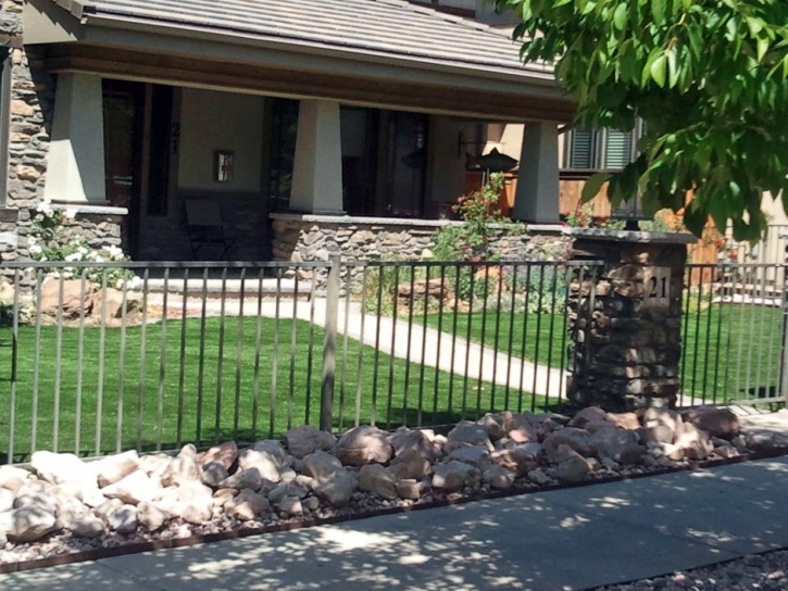 Synthetic Grass San Elizario Texas Landscape