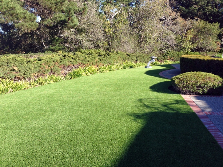 Synthetic Grass Socorro Texas Landscape