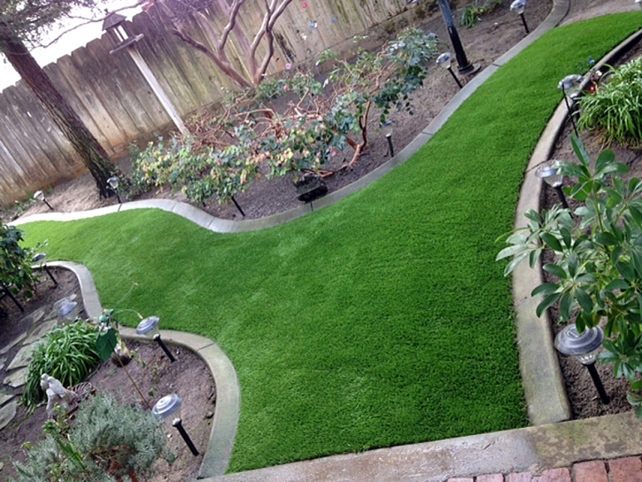 Synthetic Grass Socorro Texas Lawn