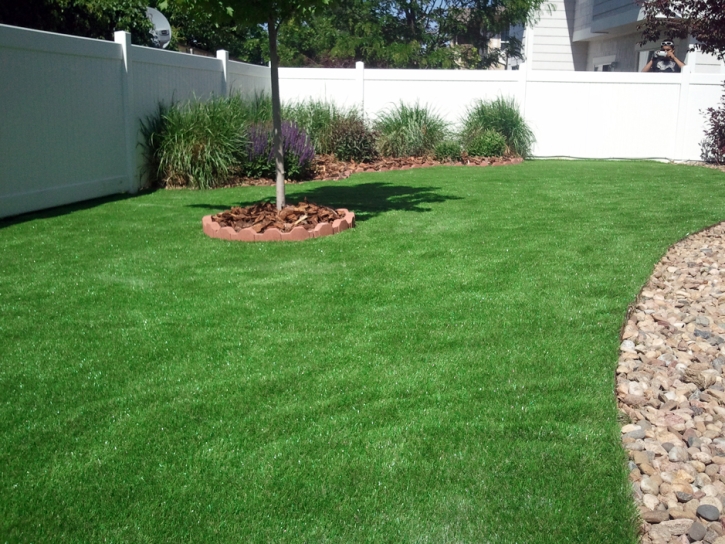 Synthetic Grass Tornillo Texas Landscape