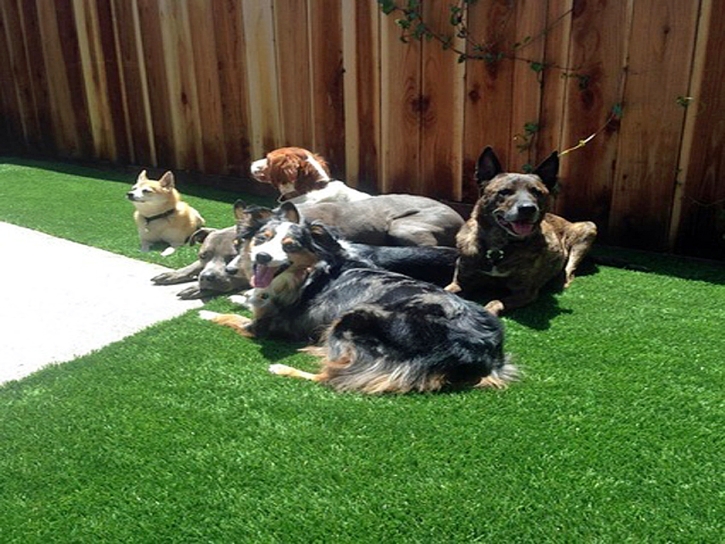 Synthetic Pet Grass Prado Verde Texas Installation