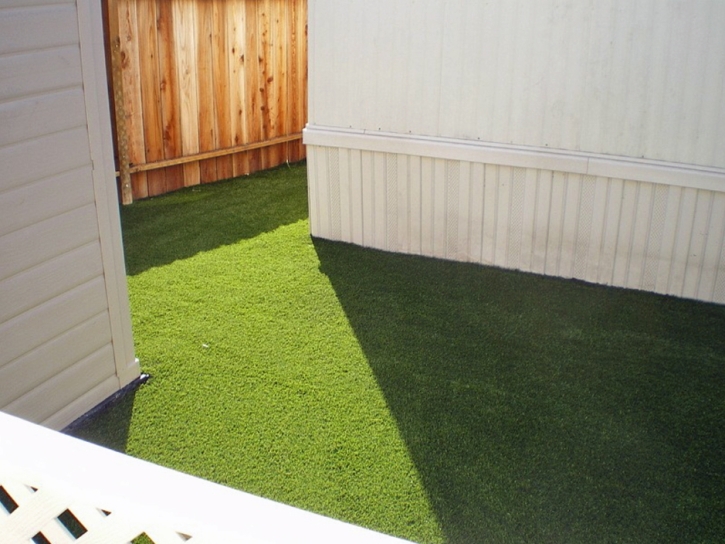 Synthetic Pets Areas Butterfield Texas Installation