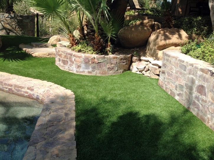 Synthetic Pets Areas Homestead Meadows South Texas Installation