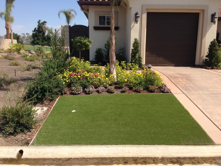 Synthetic Turf Anthony Texas Landscape