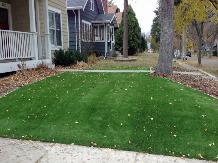 Synthetic Turf Butterfield Texas Landscape