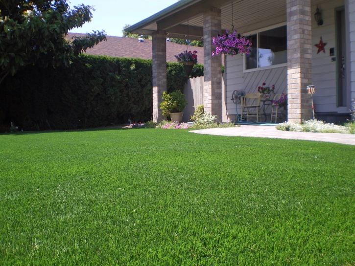 Synthetic Turf Canutillo Texas Landscape