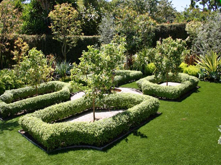 Synthetic Turf Canutillo Texas Lawn