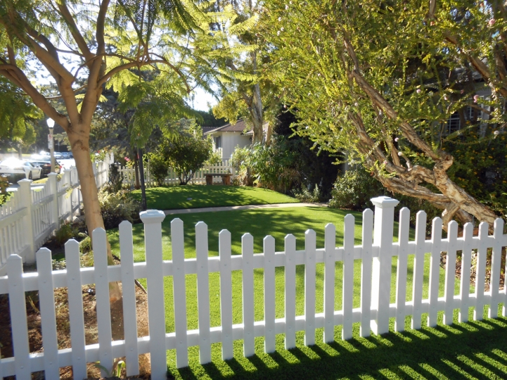 Synthetic Turf Fort Bliss Texas Landscape