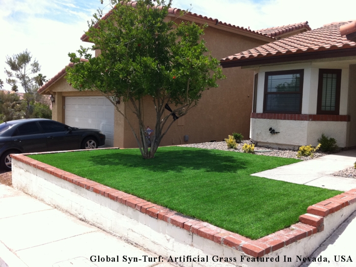 Synthetic Turf Homestead Meadows South Texas Landscape