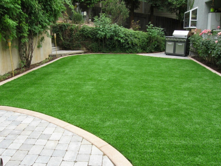 Synthetic Turf Homestead Meadows South Texas Lawn