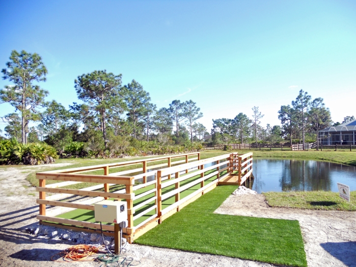 Synthetic Turf Horizon City Texas Landscape