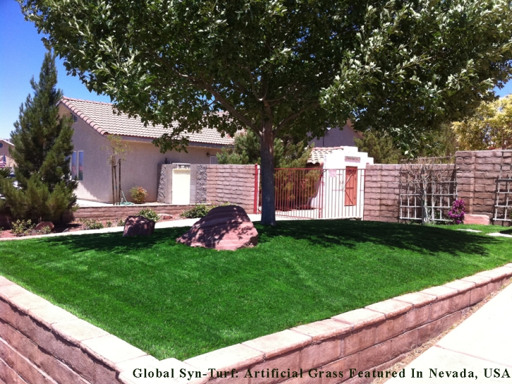 Synthetic Turf Morning Glory Texas Lawn