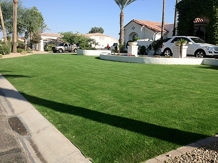 Synthetic Turf San Elizario Texas Landscape