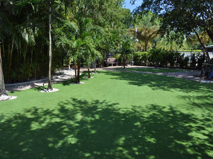 Synthetic Turf San Elizario Texas Lawn