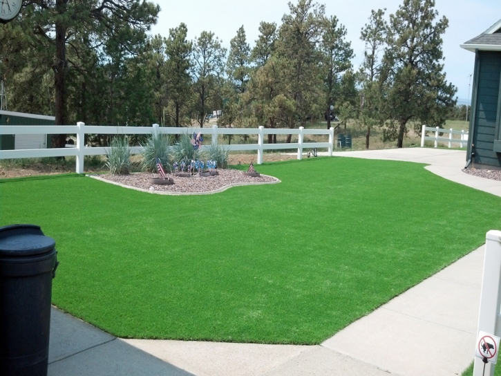 Synthetic Turf Sparks Texas Lawn