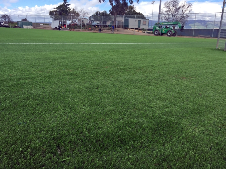 Synthetic Turf Sports Morning Glory Texas